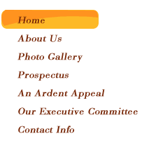 Contact Info
