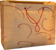 bag