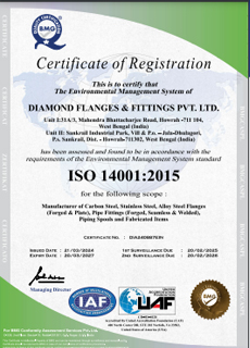 Diamond Flanges & Fittings Pvt. Ltd