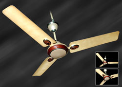 Ceiling Fan