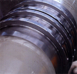 Split Roller Bearing