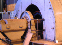 Split Roller Bearing