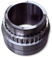 Split Roller Bearing