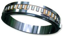 Split Roller Bearing