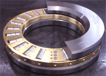 Split Roller Bearing