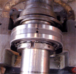 Split Roller Bearing