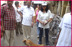 Debasree Roy Foundation Debasree Roy Foundation