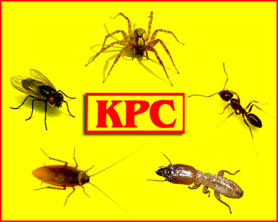 KPC