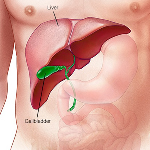 Hepato Biliary Cancer Surgeon in Salt Lake