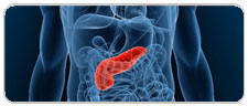 Pancreas and Liver Cancer
