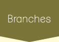 Branches