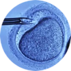 IVF Treatment