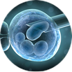 Mobile IVF Surrogacy