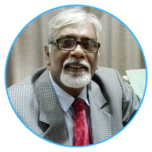 Prof. Himadri Sengupta