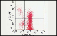 Immunophenotyping 