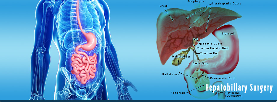 Spine Surgeries