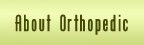About Orthopedic