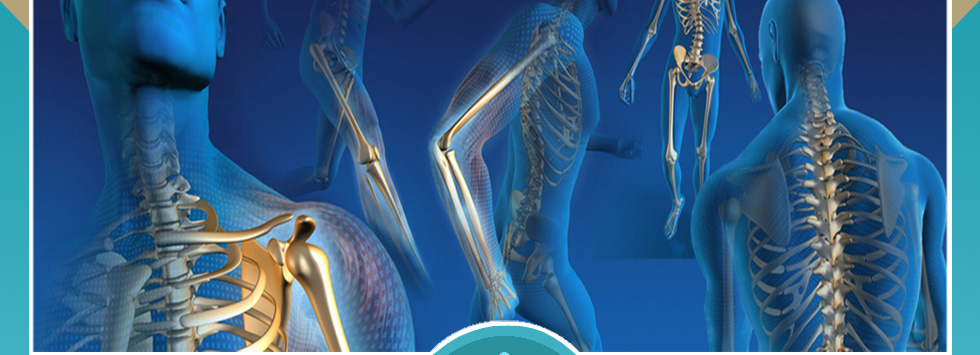 Joint Replacement Surgeries