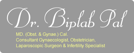 Dr. Biplab Pal
