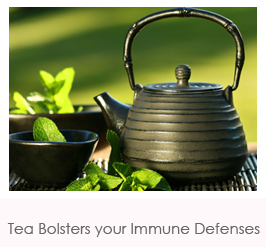 Tea Bolsters your immune defenses