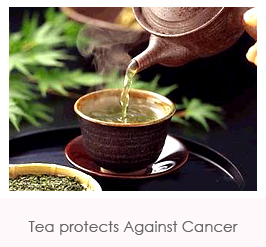 Tea protects against Cancer