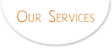 Our Service