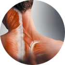 Muscle Imbalance