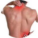 Neck & Back Pain 