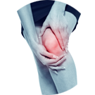 Joint & Muscle Pain 