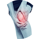 Joint & Muscle Pain