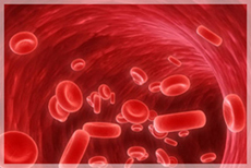 Treatment for A to Z of Haematology 