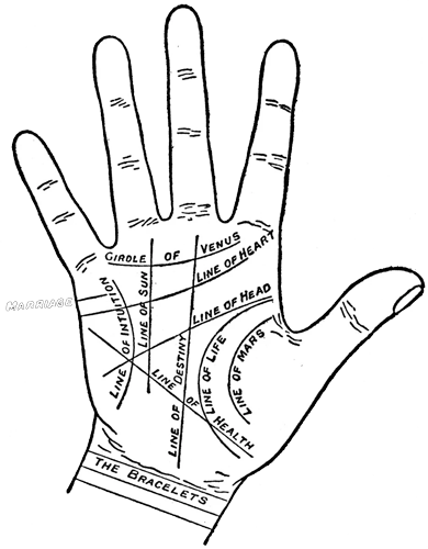 Palmistry