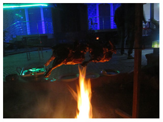 Resort Sun & Services