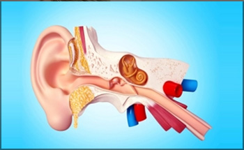 Eustachian Tube Function Test