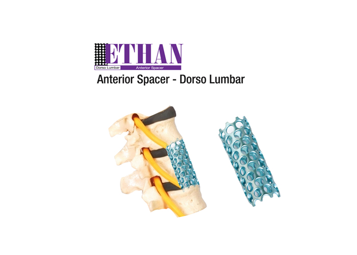 ETHAN DORSO LUMBAR