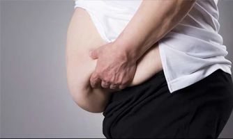 Obesity Surgery 