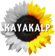 Kayakalp