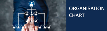 Organisation Chart