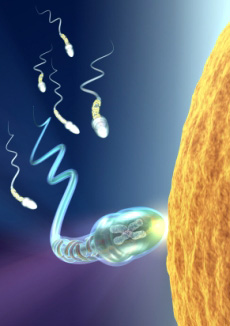 infertility